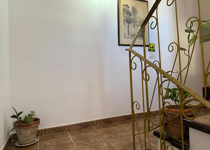 Vacacional Madre Amada En