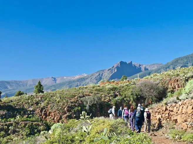 Privat bolig Vacacional Madre Amada En Candelaria