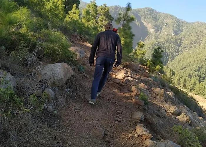 Vacacional Madre Amada En Alloggio in famiglia Candelaria